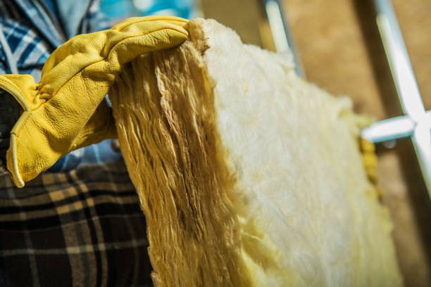 Best Insulation Replacement Services  in Columbus, KS